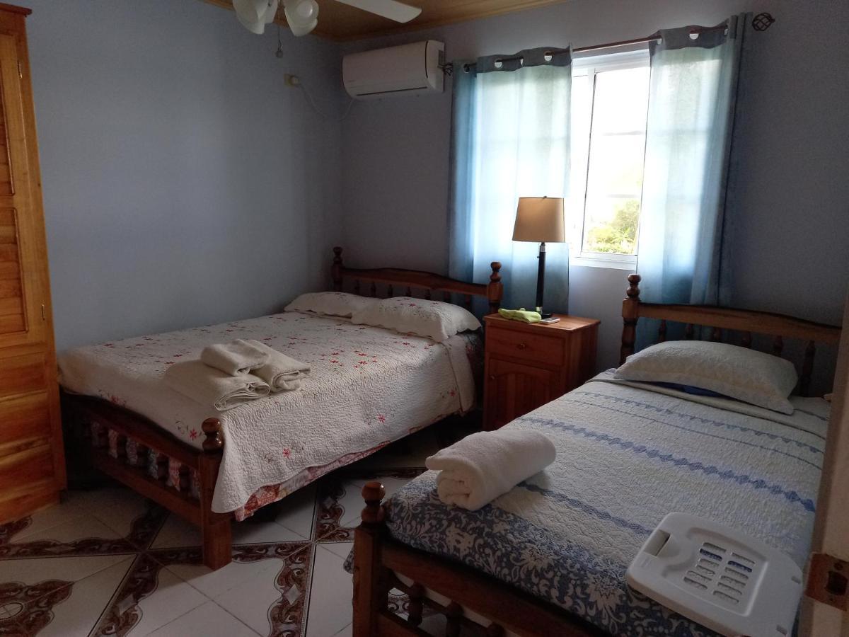 הוילה בוקס דל טורו Urania House מראה חיצוני תמונה